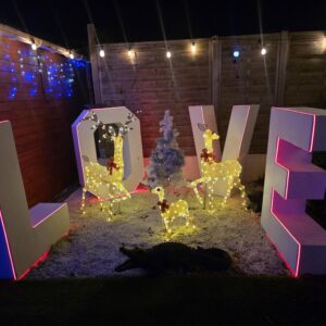 Loft d'amour love room proche nantes (1)