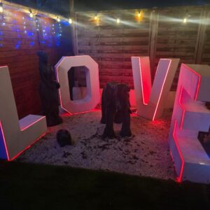 Loft d'amour love room proche nantes (6)